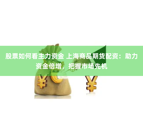 股票如何看主力资金 上海商品期货配资：助力资金倍增，把握市场先机