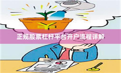正规股票杠杆平台开户流程详解